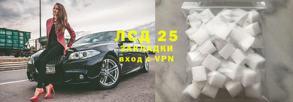 прущие грибы Абдулино