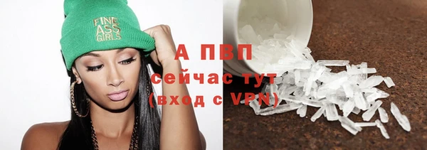 дмт Абаза
