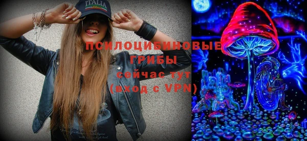 спайс Нея