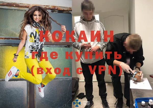 дмт Абаза
