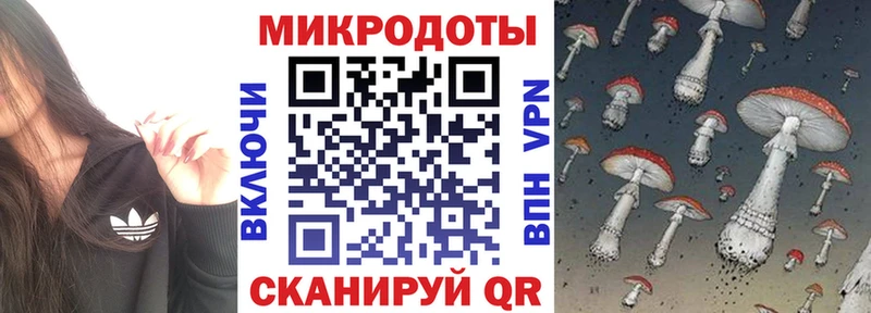 блэк спрут как зайти  Алексин  Галлюциногенные грибы MAGIC MUSHROOMS 